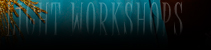 Dream Light Workshops
