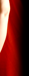 Dream Light Workshops