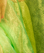 Dream Light Workshops