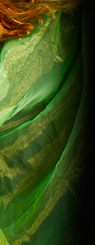 Dream Light Workshops