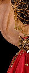Dream Light workshops