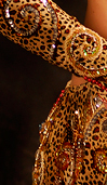 Dream Light Workshops