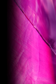 Dream Light Workshops