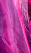 Dream Light Workshops