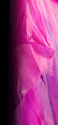 Dream Light Workshops