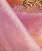 Dream Light Workshops