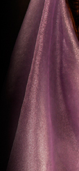 Dream Light Workshops