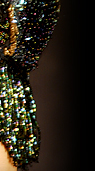 Dream Light Workshops