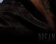 Dream Light Workshops