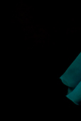 Dream Light Workshops
