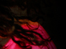 Dream Light Workshops
