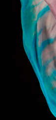 Dream Light Workshops