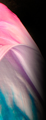 Dream Light Workshops