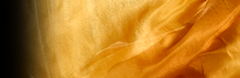 Dream Light Workshops