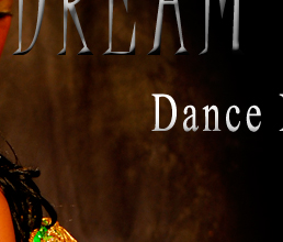 Dream Light Workshops