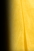Dream Light Workshops