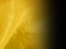 Dream Light Workshops