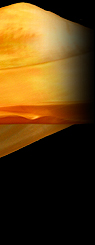 Dream Light Workshops