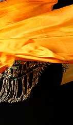 Dream Light Workshops
