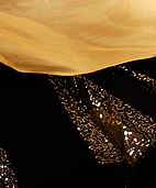 Dream Light Workshops