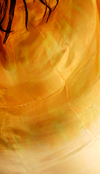 Dream Light Workshops