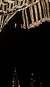 Dream Light Workshops