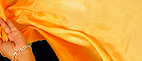 Dream Light Workshops