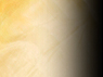 Dream Light Workshops