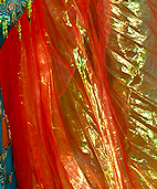Dream Light Workshops