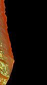 Dream Light Workshops