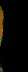 Dream Light Workshops