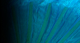 Dream Light Workshops