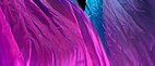 Dream Light Workshops