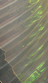 Dream Light Workshops