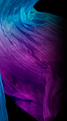 Dream Light Workshops