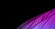 Dream Light Workshops