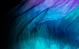 Dream Light Workshops
