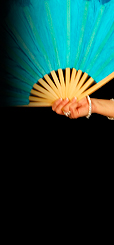 Dream Light Workshops