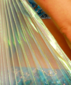 Dream Light Workshops
