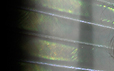 Dream Light Workshops