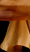 Dream Light Workshops