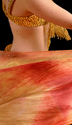 Dream Light Workshops