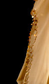 Dream Light Workshops