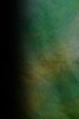 Dream Light Workshops