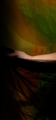 Dream Light Workshops