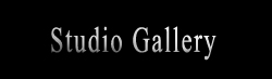 Studio Gallery